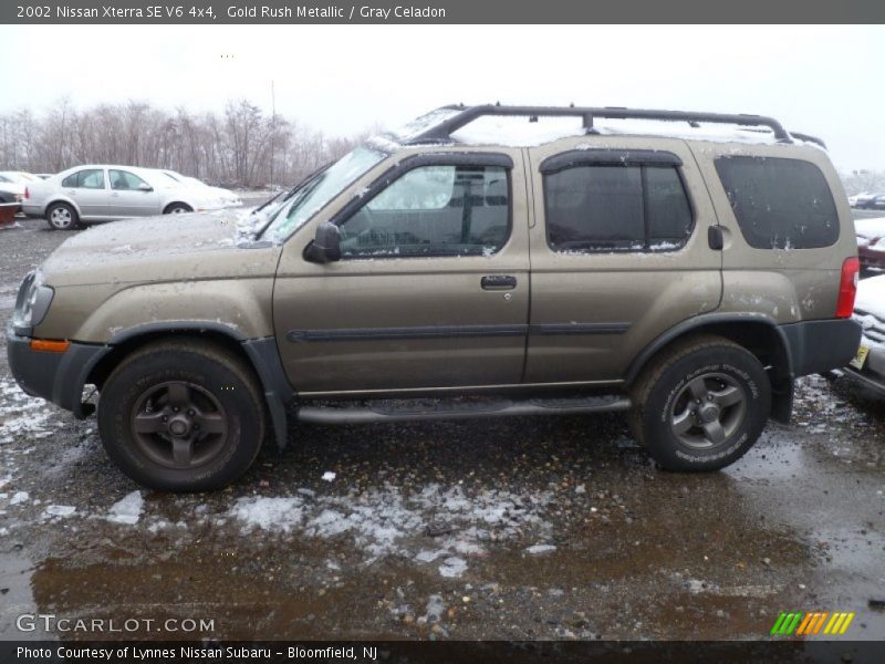 Gold Rush Metallic / Gray Celadon 2002 Nissan Xterra SE V6 4x4