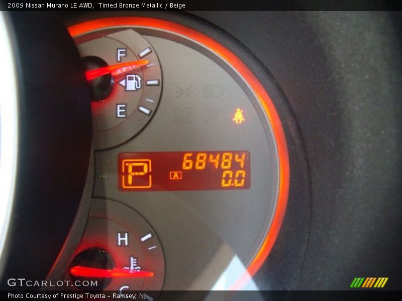 Tinted Bronze Metallic / Beige 2009 Nissan Murano LE AWD