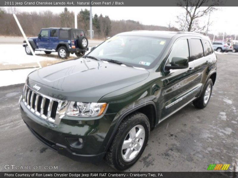 Natural Green Pearl / Black 2011 Jeep Grand Cherokee Laredo 4x4