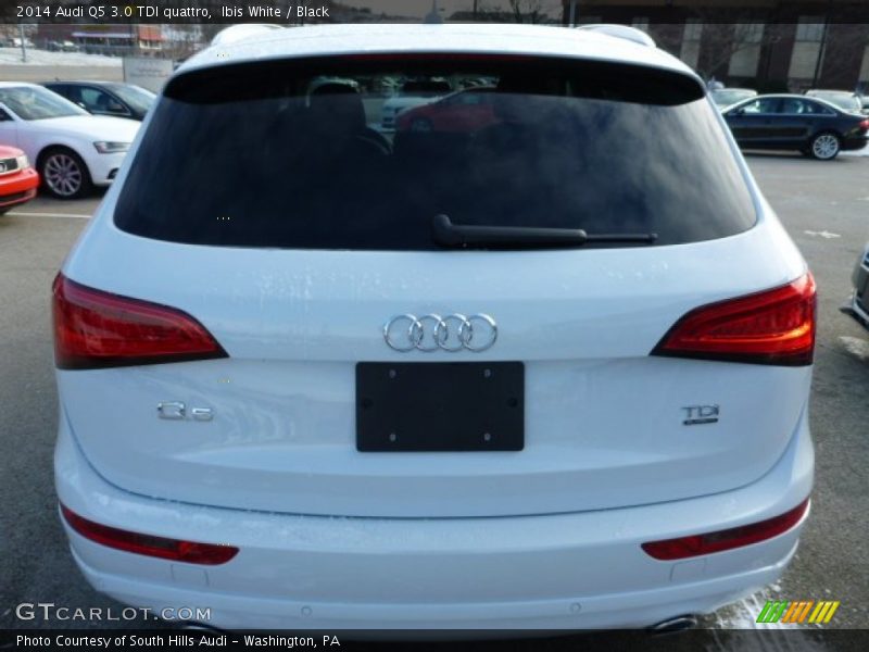 Ibis White / Black 2014 Audi Q5 3.0 TDI quattro