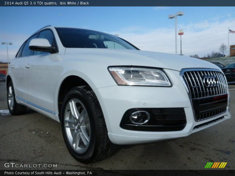 Ibis White / Black 2014 Audi Q5 3.0 TDI quattro