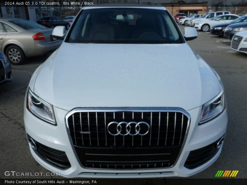 Ibis White / Black 2014 Audi Q5 3.0 TDI quattro