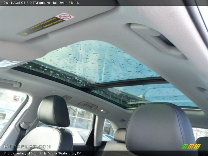 Ibis White / Black 2014 Audi Q5 3.0 TDI quattro