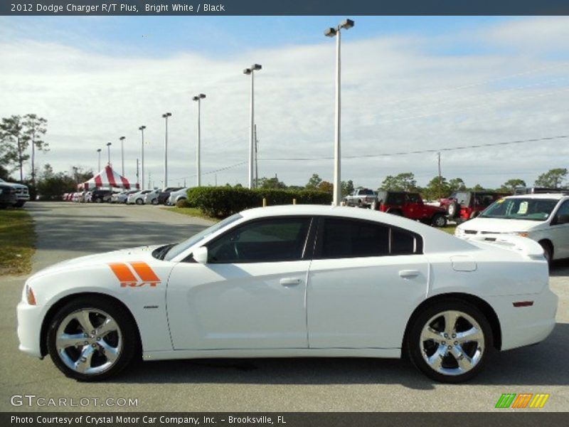 Bright White / Black 2012 Dodge Charger R/T Plus
