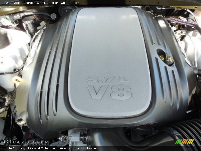 Bright White / Black 2012 Dodge Charger R/T Plus