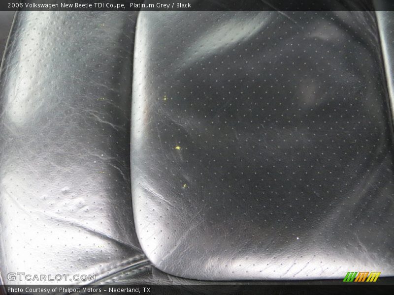 Platinum Grey / Black 2006 Volkswagen New Beetle TDI Coupe