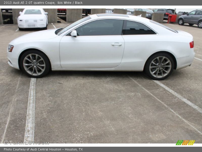 Ibis White / Black 2013 Audi A5 2.0T quattro Coupe