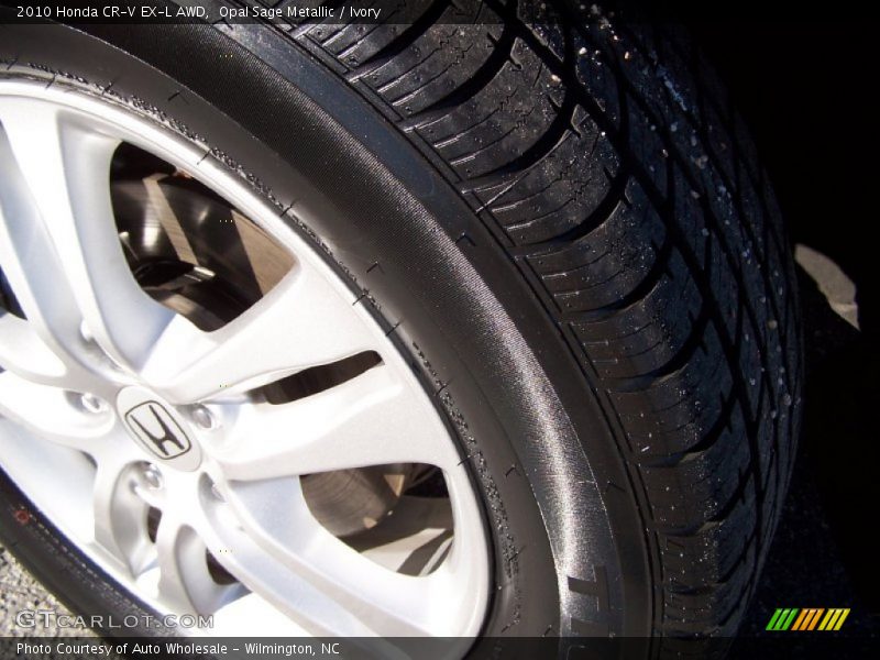 Opal Sage Metallic / Ivory 2010 Honda CR-V EX-L AWD
