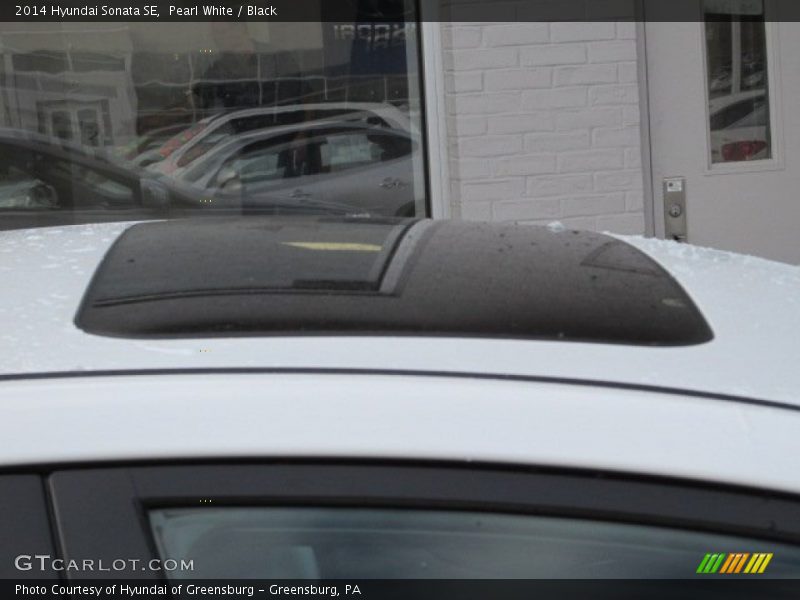 Pearl White / Black 2014 Hyundai Sonata SE