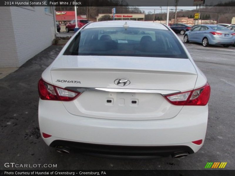 Pearl White / Black 2014 Hyundai Sonata SE