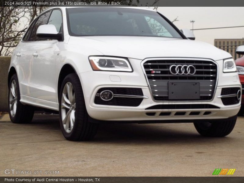 Ibis White / Black 2014 Audi SQ5 Premium plus 3.0 TFSI quattro