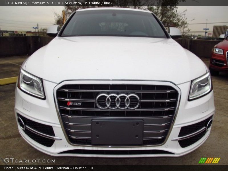 Ibis White / Black 2014 Audi SQ5 Premium plus 3.0 TFSI quattro