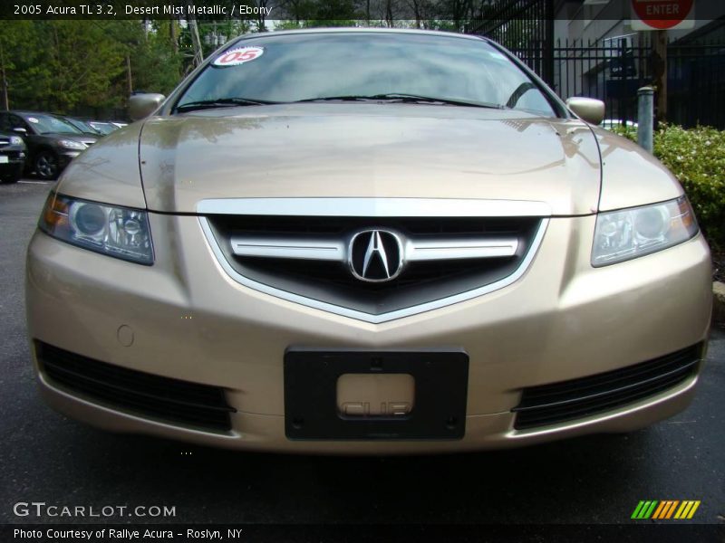 Desert Mist Metallic / Ebony 2005 Acura TL 3.2