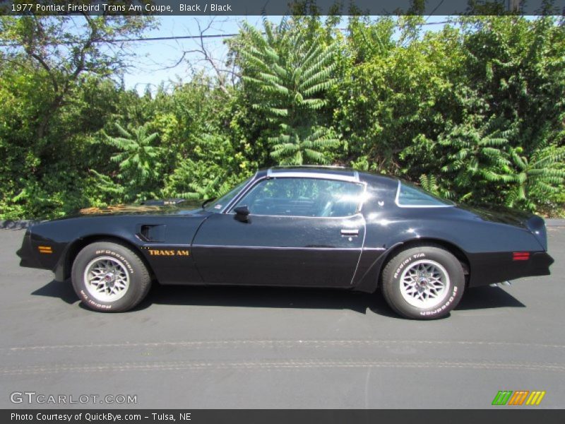  1977 Firebird Trans Am Coupe Black