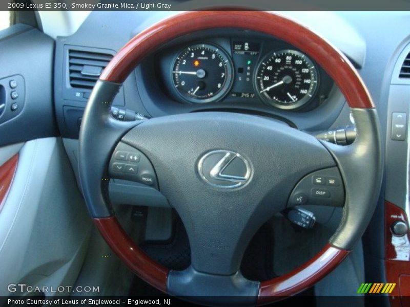 Smokey Granite Mica / Light Gray 2009 Lexus ES 350