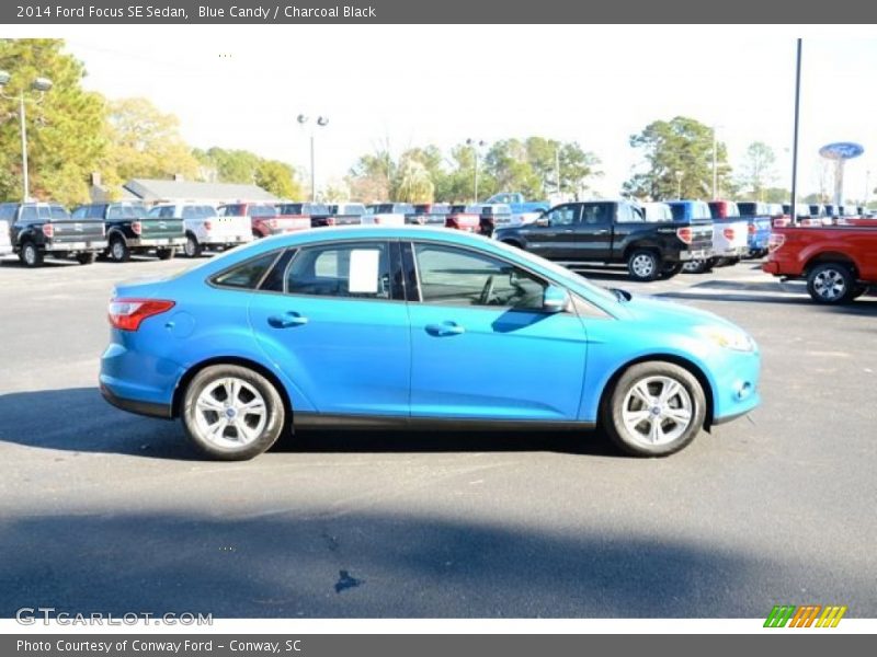 Blue Candy / Charcoal Black 2014 Ford Focus SE Sedan