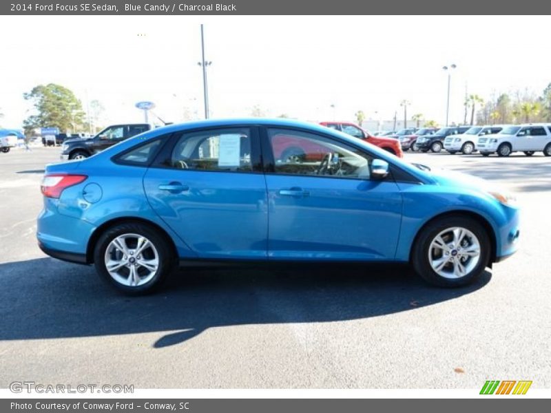 Blue Candy / Charcoal Black 2014 Ford Focus SE Sedan