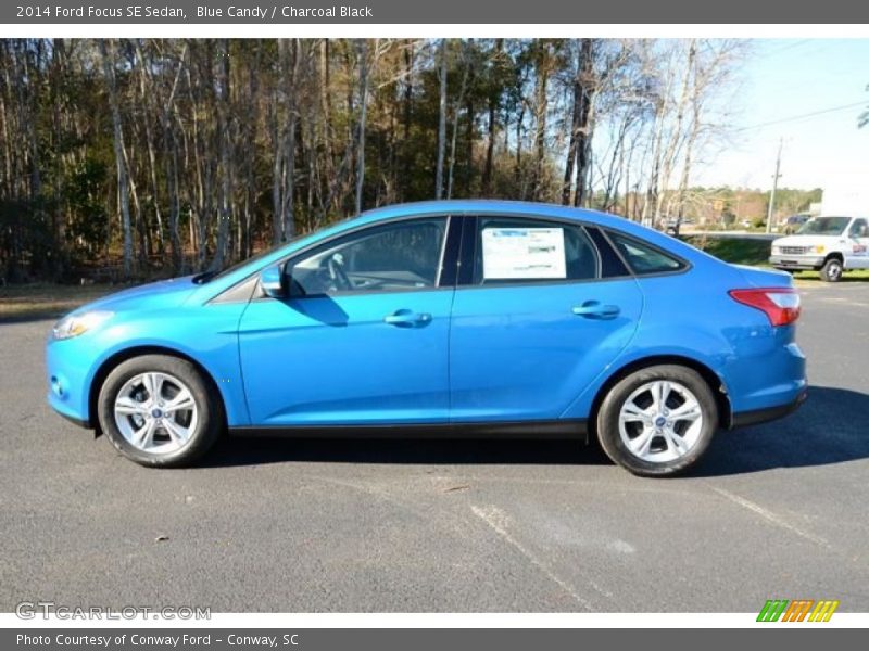 Blue Candy / Charcoal Black 2014 Ford Focus SE Sedan