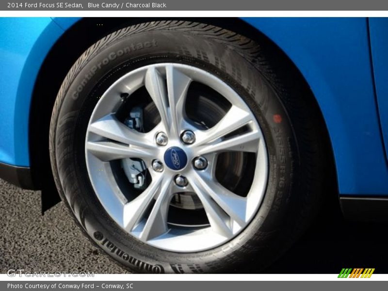 Blue Candy / Charcoal Black 2014 Ford Focus SE Sedan