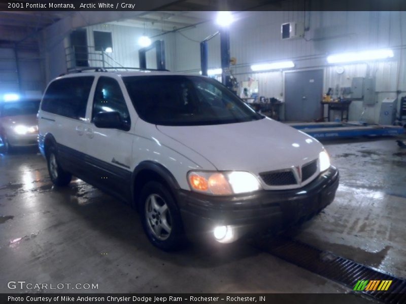 Arctic White / Gray 2001 Pontiac Montana