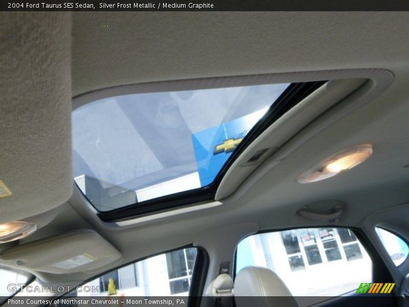 Silver Frost Metallic / Medium Graphite 2004 Ford Taurus SES Sedan