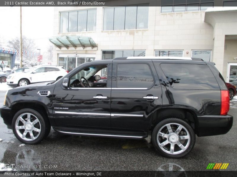 Black Raven / Ebony/Ebony 2011 Cadillac Escalade AWD