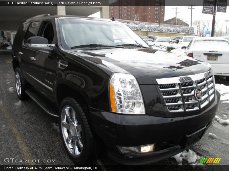 Black Raven / Ebony/Ebony 2011 Cadillac Escalade AWD