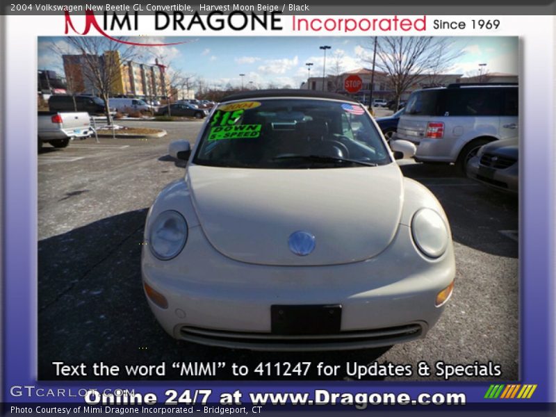 Harvest Moon Beige / Black 2004 Volkswagen New Beetle GL Convertible