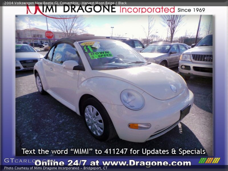 Harvest Moon Beige / Black 2004 Volkswagen New Beetle GL Convertible