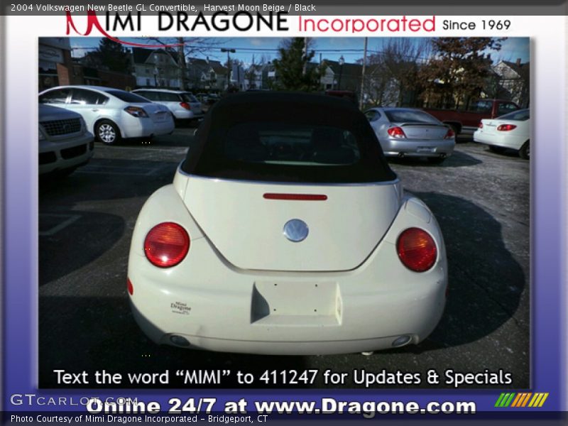 Harvest Moon Beige / Black 2004 Volkswagen New Beetle GL Convertible