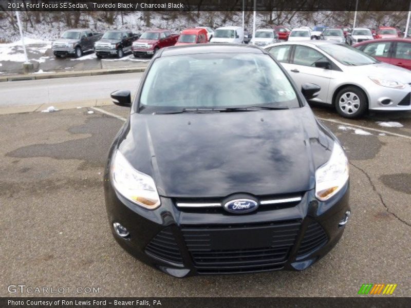 Tuxedo Black / Charcoal Black 2014 Ford Focus SE Sedan