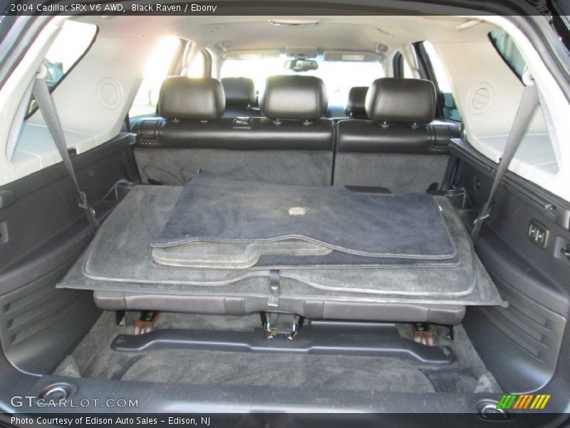  2004 SRX V6 AWD Trunk