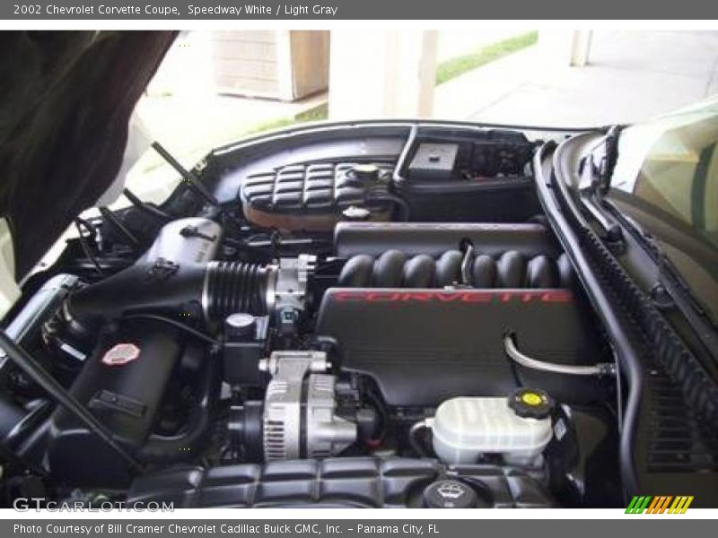 Speedway White / Light Gray 2002 Chevrolet Corvette Coupe