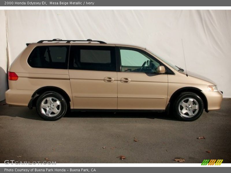 Mesa Beige Metallic / Ivory 2000 Honda Odyssey EX