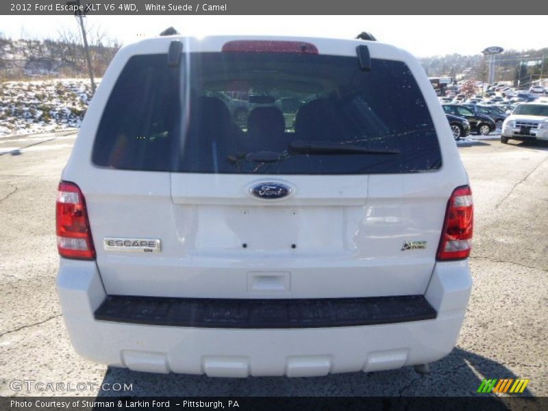 White Suede / Camel 2012 Ford Escape XLT V6 4WD