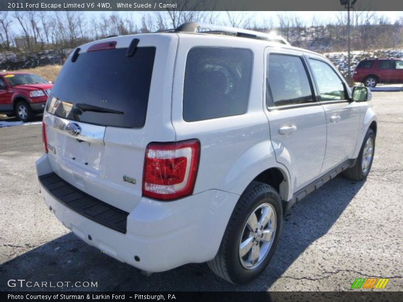 White Suede / Camel 2011 Ford Escape Limited V6 4WD