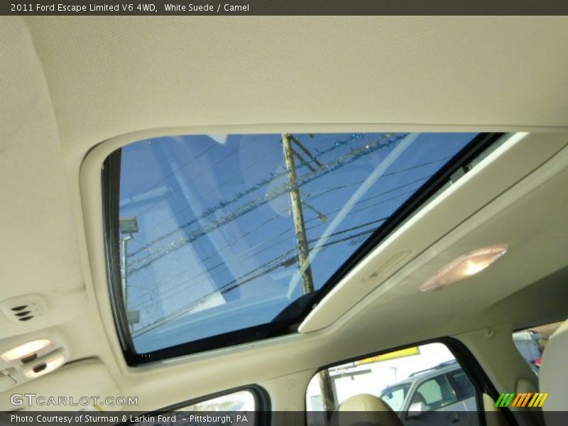 White Suede / Camel 2011 Ford Escape Limited V6 4WD