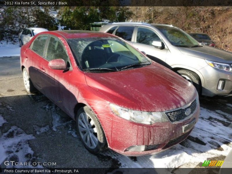 Spicy Red / Black 2012 Kia Forte SX