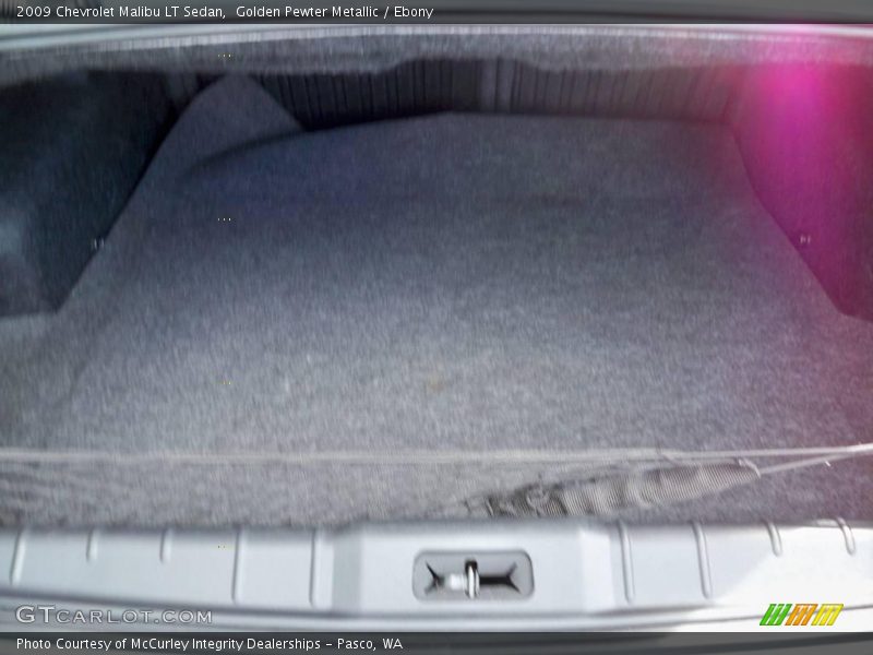 Golden Pewter Metallic / Ebony 2009 Chevrolet Malibu LT Sedan