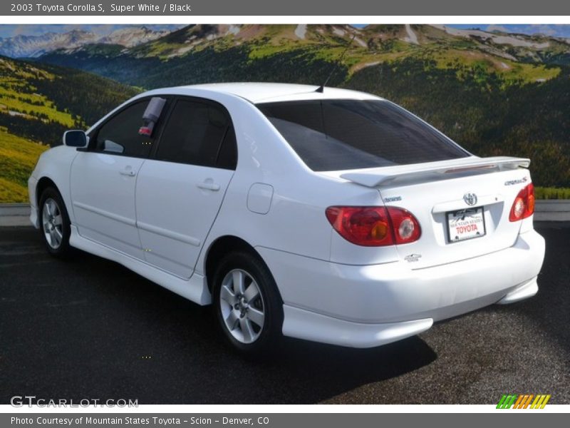 Super White / Black 2003 Toyota Corolla S