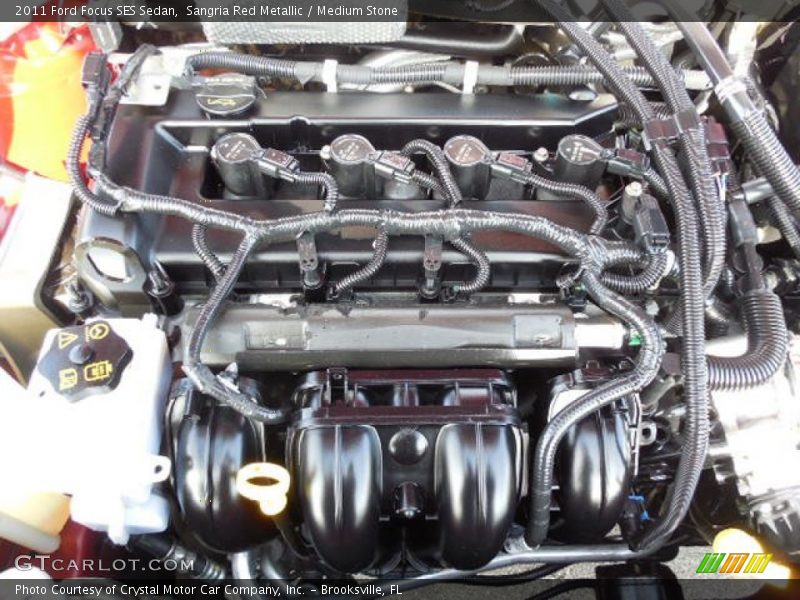 Sangria Red Metallic / Medium Stone 2011 Ford Focus SES Sedan