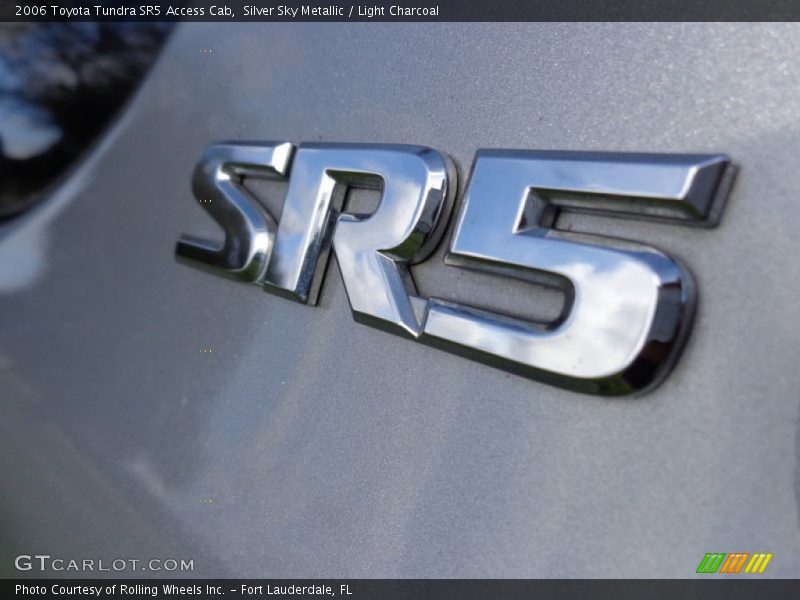 Silver Sky Metallic / Light Charcoal 2006 Toyota Tundra SR5 Access Cab