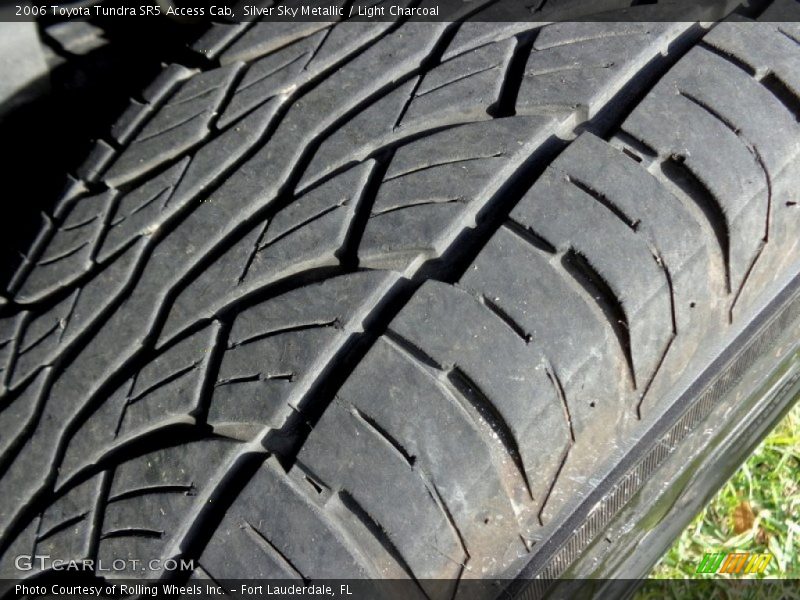 Silver Sky Metallic / Light Charcoal 2006 Toyota Tundra SR5 Access Cab
