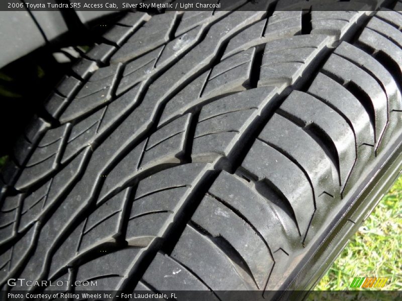 Silver Sky Metallic / Light Charcoal 2006 Toyota Tundra SR5 Access Cab