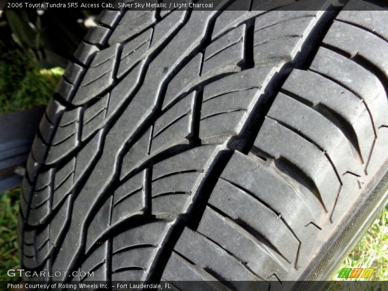 Silver Sky Metallic / Light Charcoal 2006 Toyota Tundra SR5 Access Cab