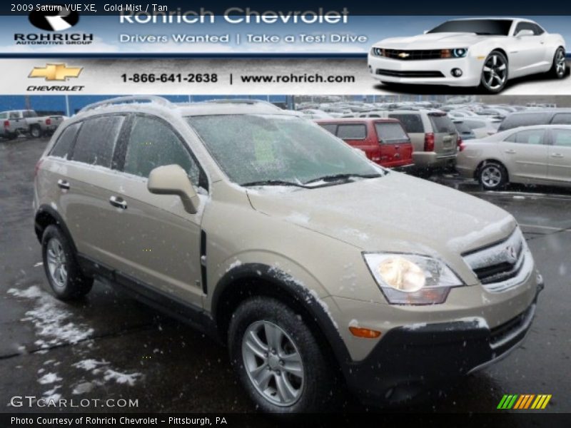 Gold Mist / Tan 2009 Saturn VUE XE