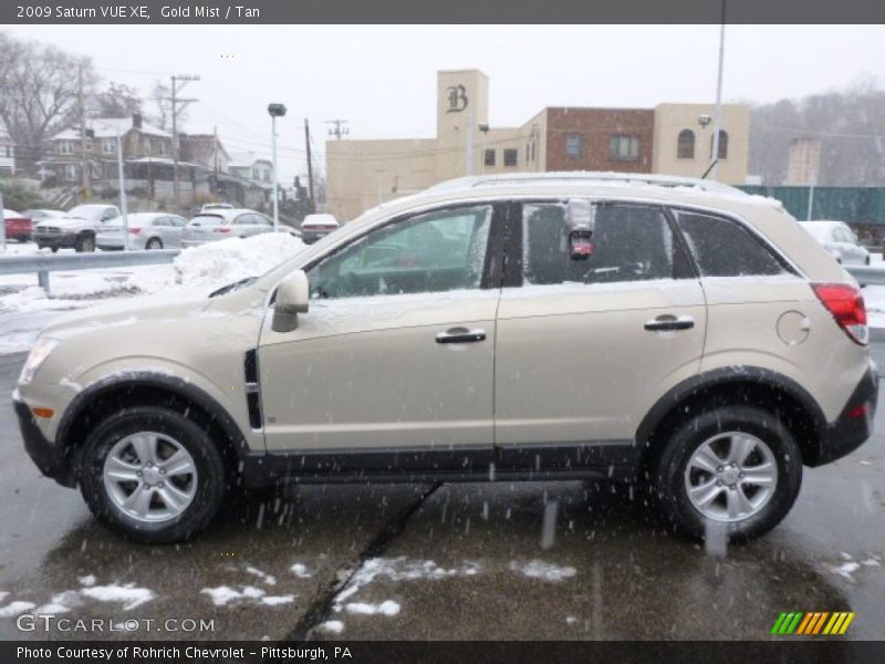 Gold Mist / Tan 2009 Saturn VUE XE