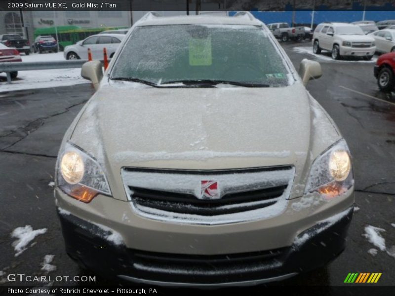 Gold Mist / Tan 2009 Saturn VUE XE