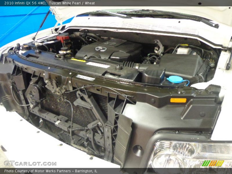 Tuscan White Pearl / Wheat 2010 Infiniti QX 56 4WD