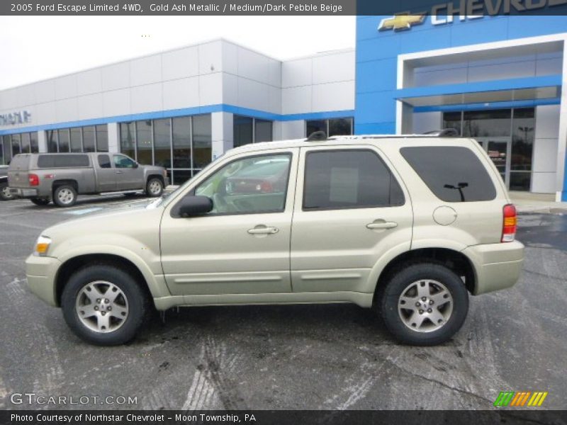 Gold Ash Metallic / Medium/Dark Pebble Beige 2005 Ford Escape Limited 4WD